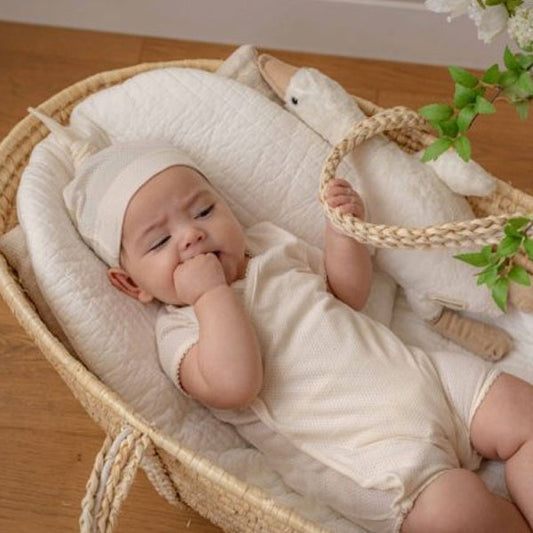 Leo Newborn Suit