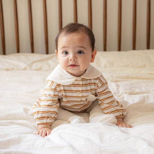 Bear Stripe Suit