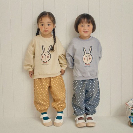 Rabbit Set