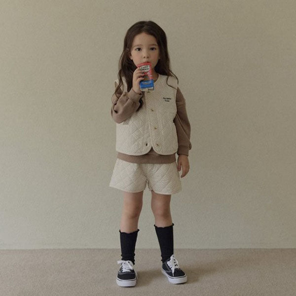 Hidden Quilting Shorts